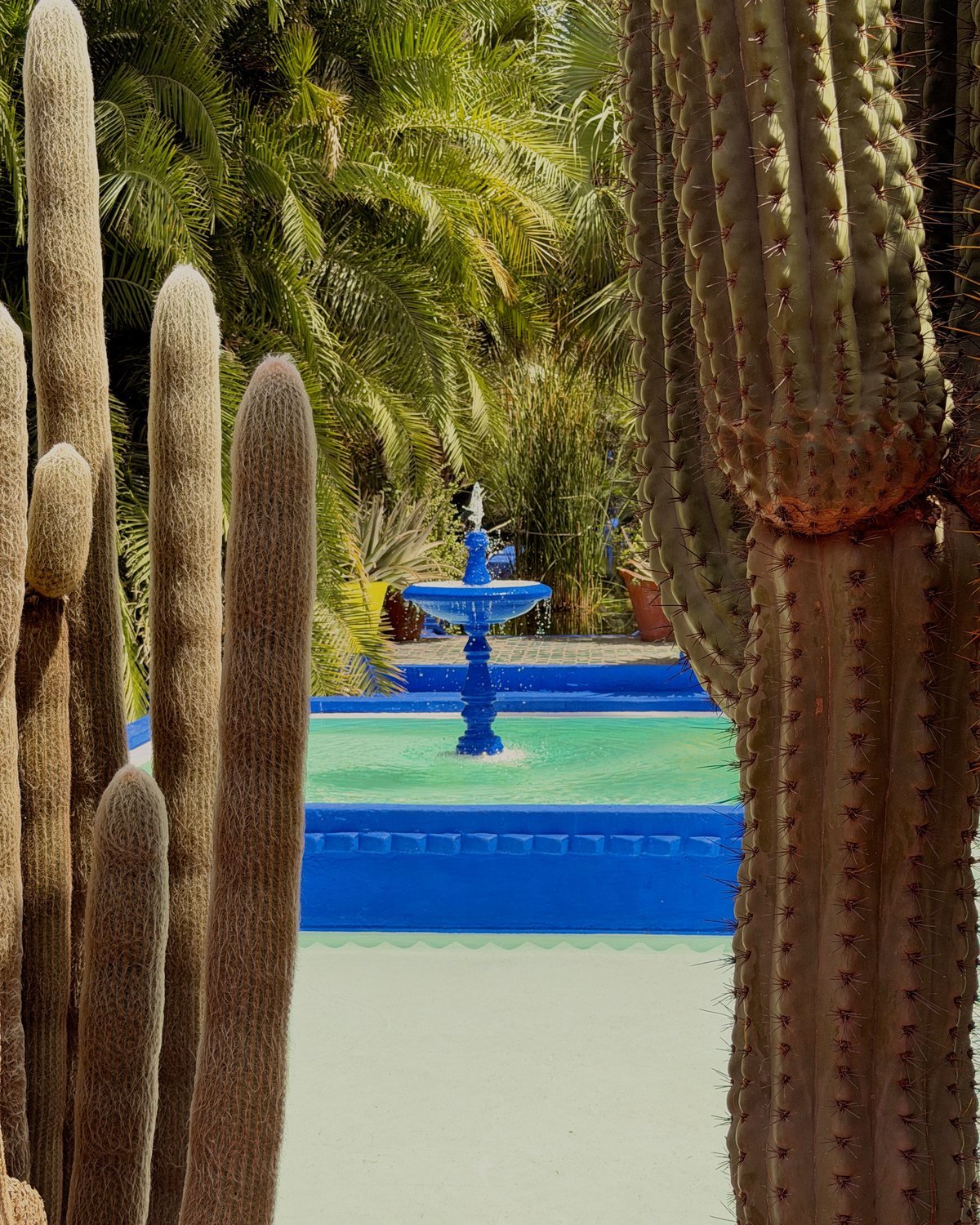Jardin Majorelle, Marrakech